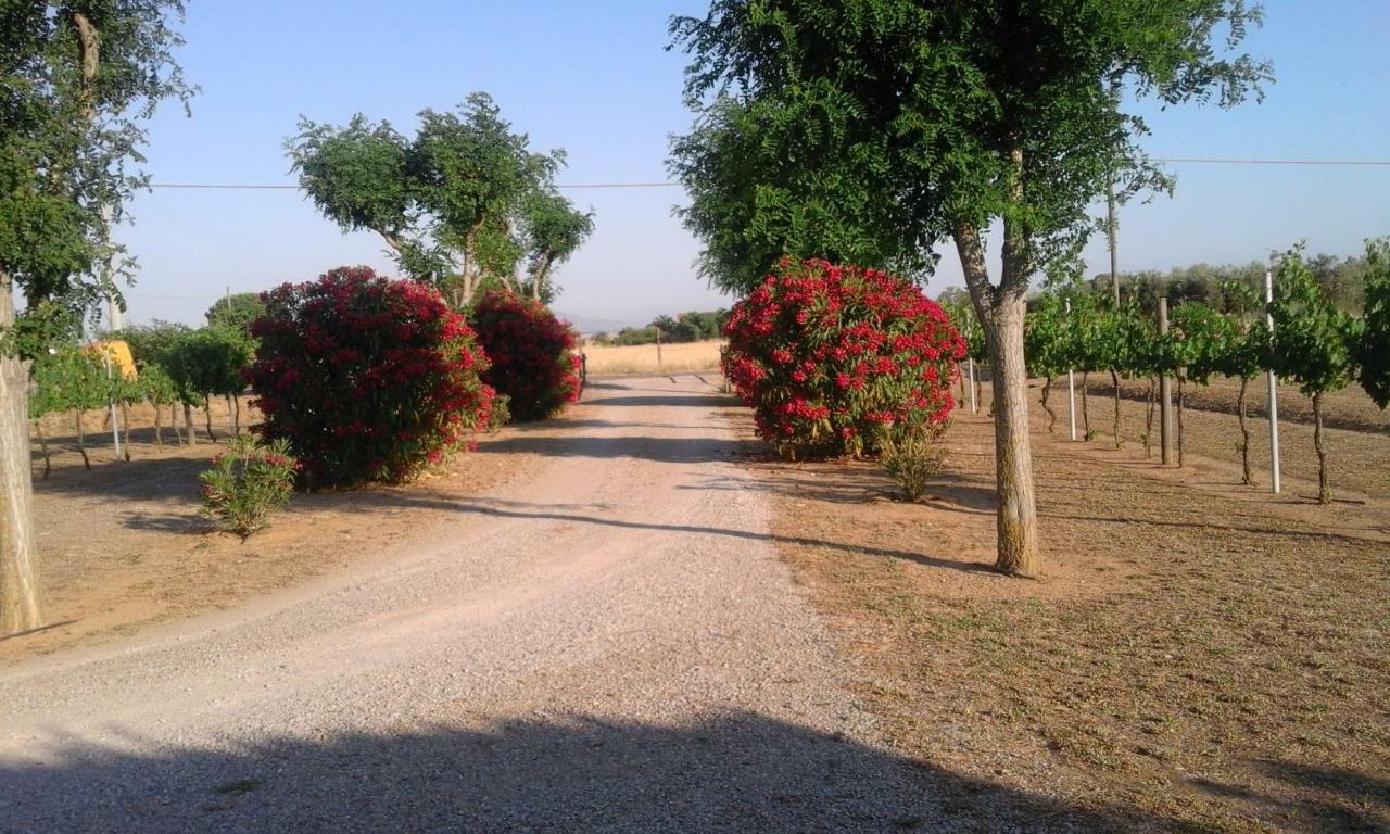Monolocale Con Giardino Villa Castiglione della Pescaia Eksteriør billede