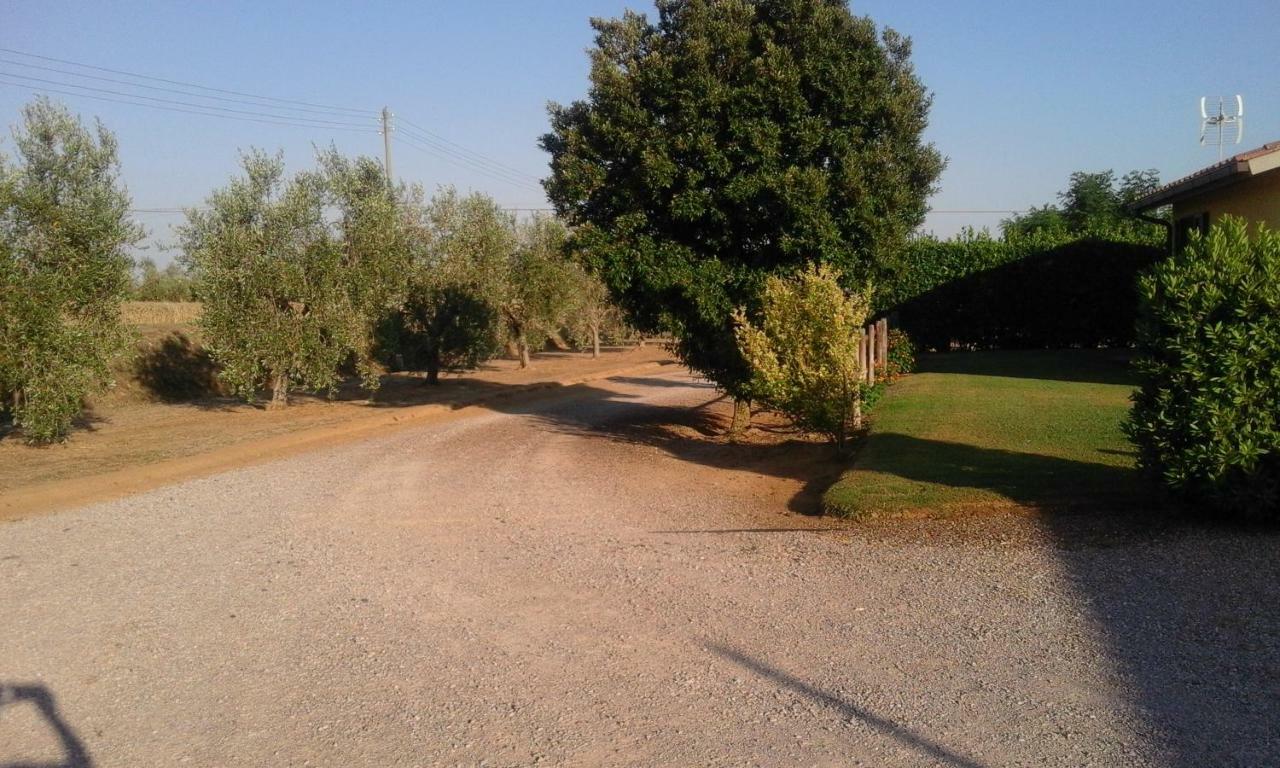 Monolocale Con Giardino Villa Castiglione della Pescaia Eksteriør billede